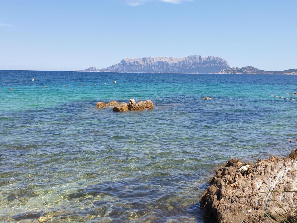 Home On Sardinia Beach ออลเบีย ภายนอก รูปภาพ