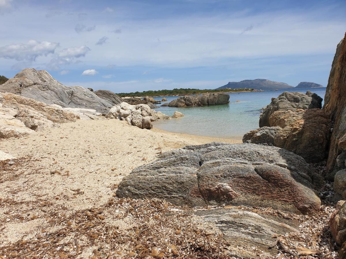 Home On Sardinia Beach ออลเบีย ภายนอก รูปภาพ