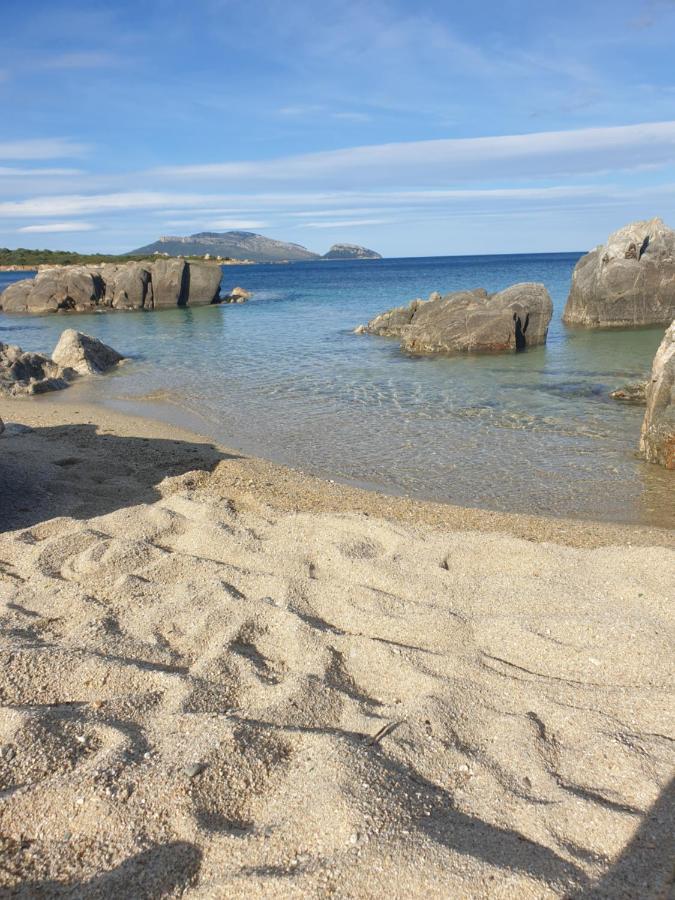 Home On Sardinia Beach ออลเบีย ภายนอก รูปภาพ