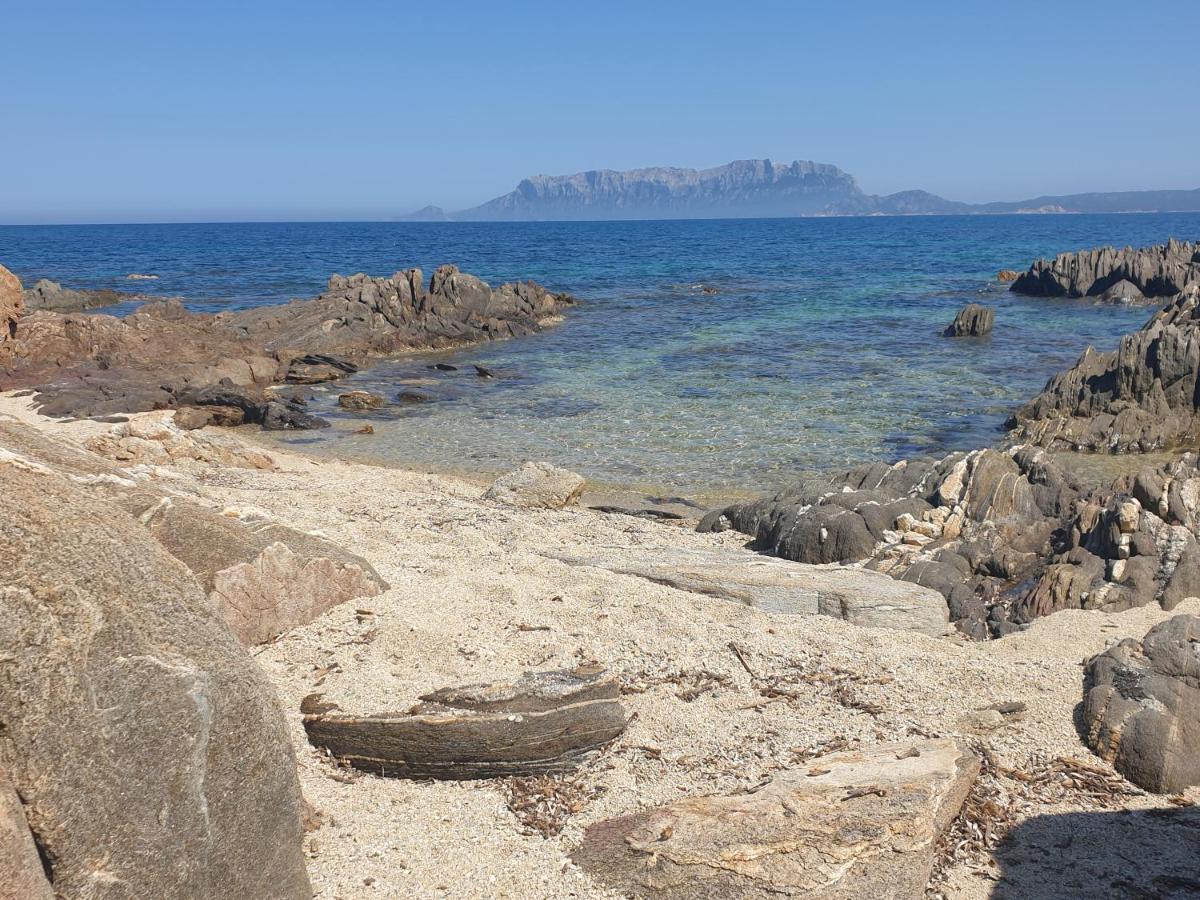 Home On Sardinia Beach ออลเบีย ภายนอก รูปภาพ