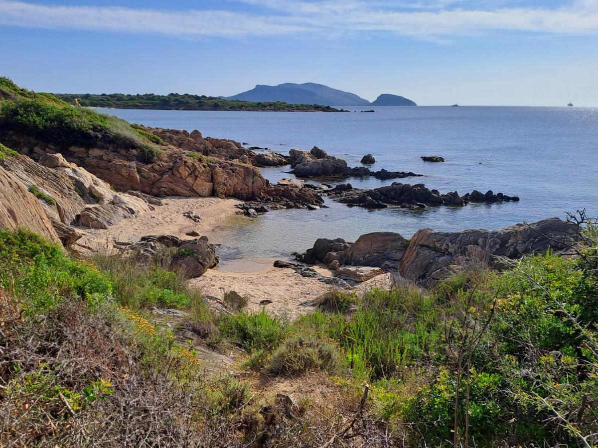 Home On Sardinia Beach ออลเบีย ภายนอก รูปภาพ
